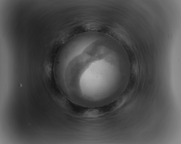 X0000100480271200806131236