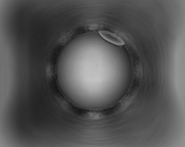 X0000100480272200806131236