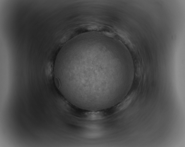 X0000100480273200806131236