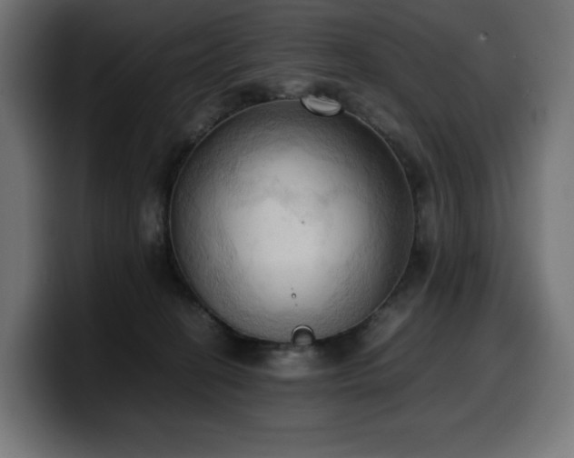 X0000100480274200806131236