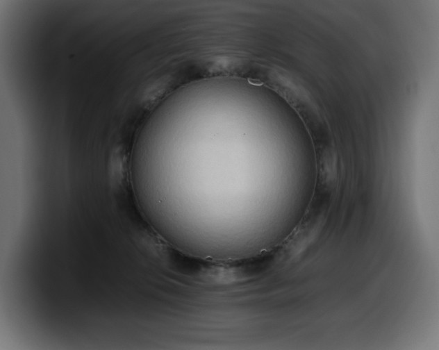 X0000100480276200806131236
