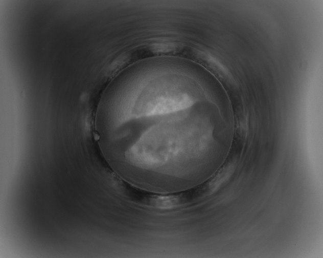 X0000100480277200806131236