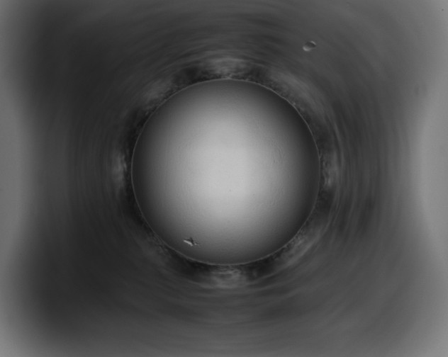 X0000100480279200806131236