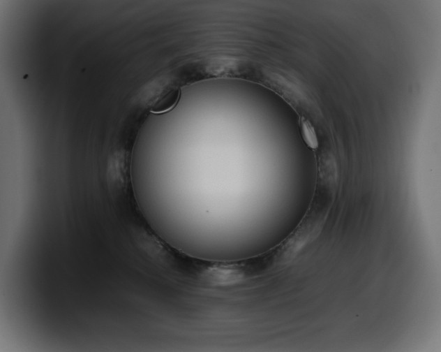X0000100480280200806131236