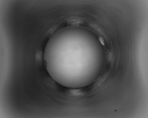 X0000100480283200806131236
