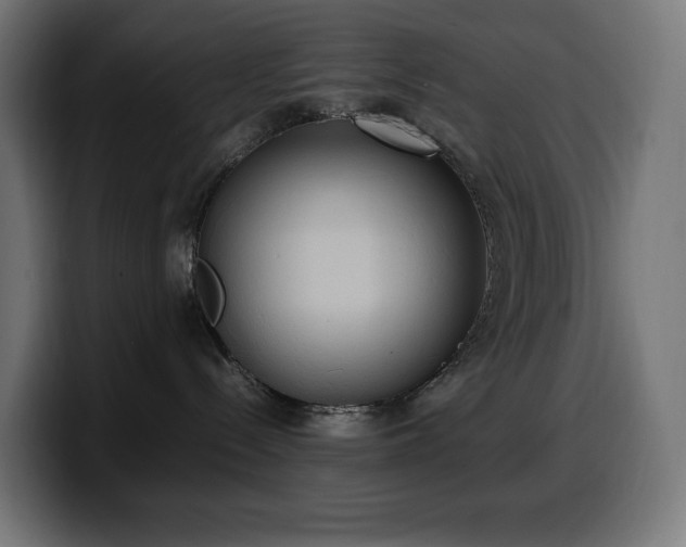 X0000100480288200806131236