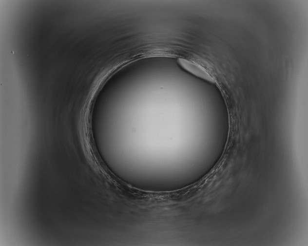 X0000100480289200806131235