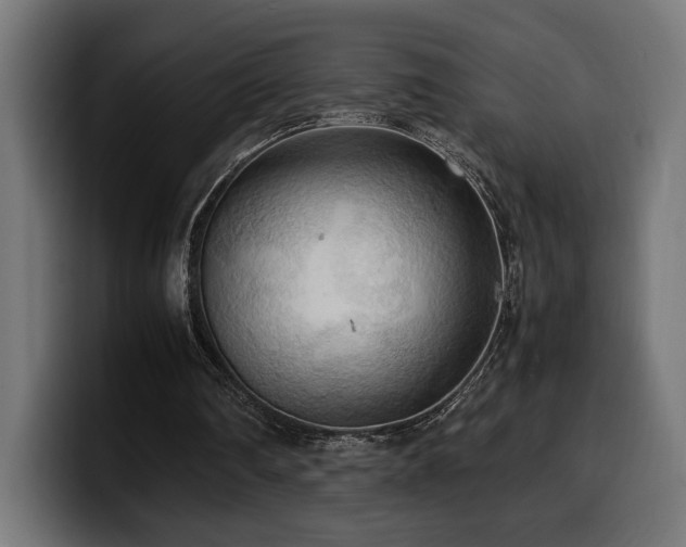X0000100480290200806131235