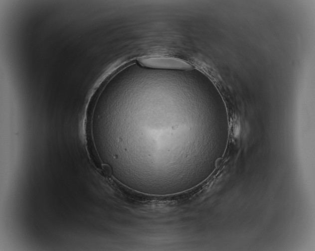 X0000100480292200806131235