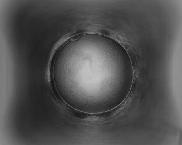 X0000100480294200806131235