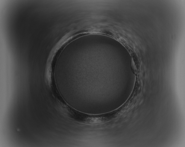 X0000100480295200806131235