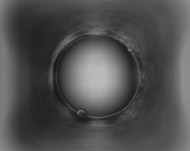 X0000100480296200806131235