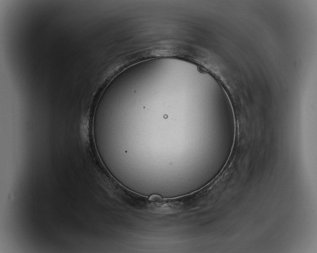 X0000100480297200806131235