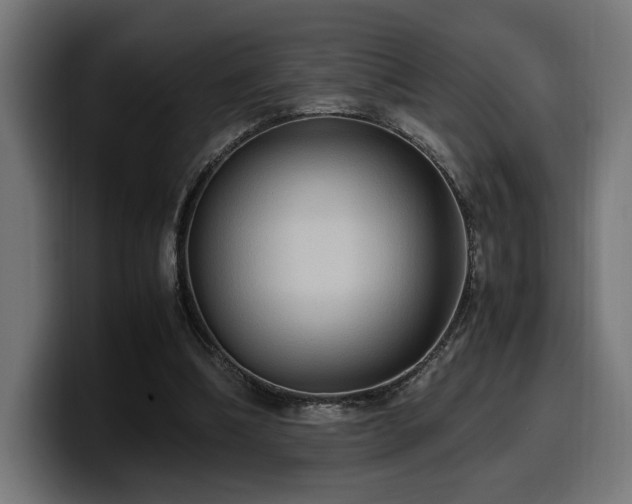 X0000100480298200806131235