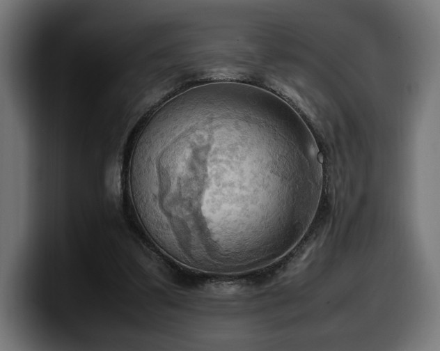 X0000100480299200806131235