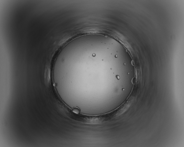 X0000100480301200806131235