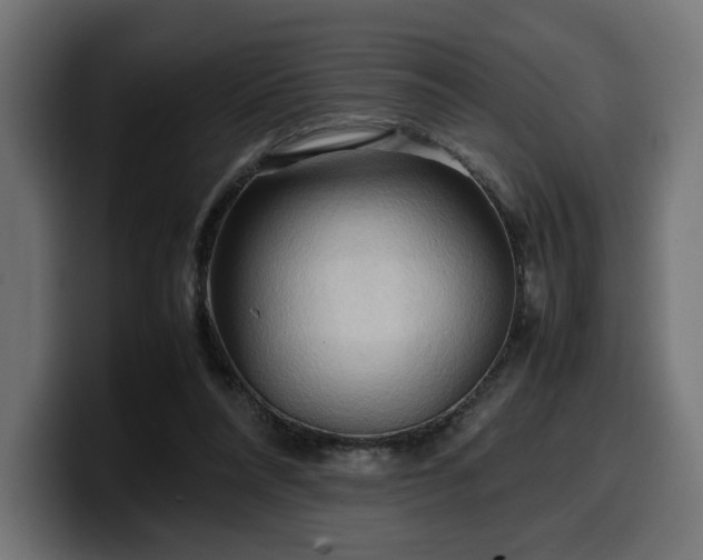 X0000100480304200806131235