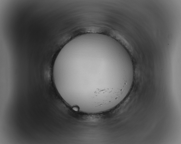 X0000100480305200806131235