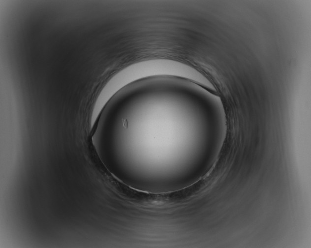 X0000100480308200806131235