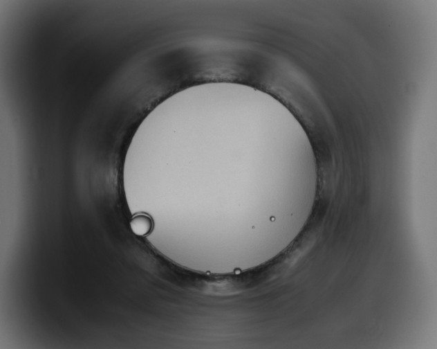 X0000100480309200806131235