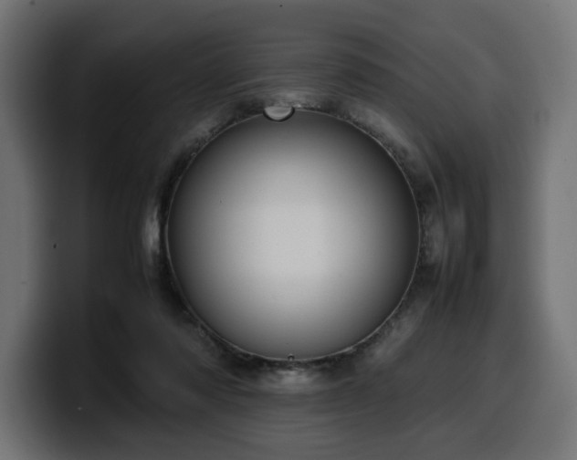 X0000100480310200806131235