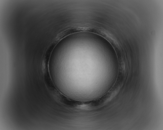 X0000100480312200806131235