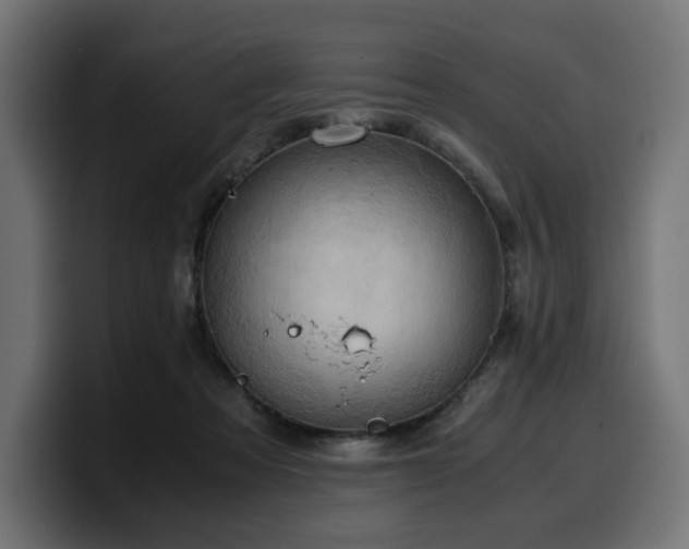 X0000100480313200806131235