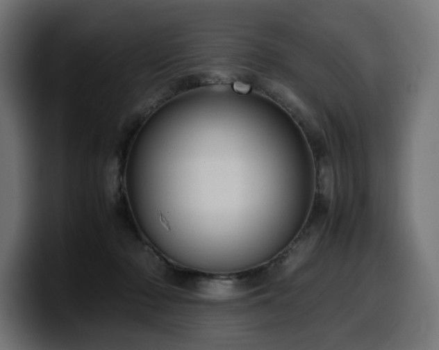 X0000100480318200806131235