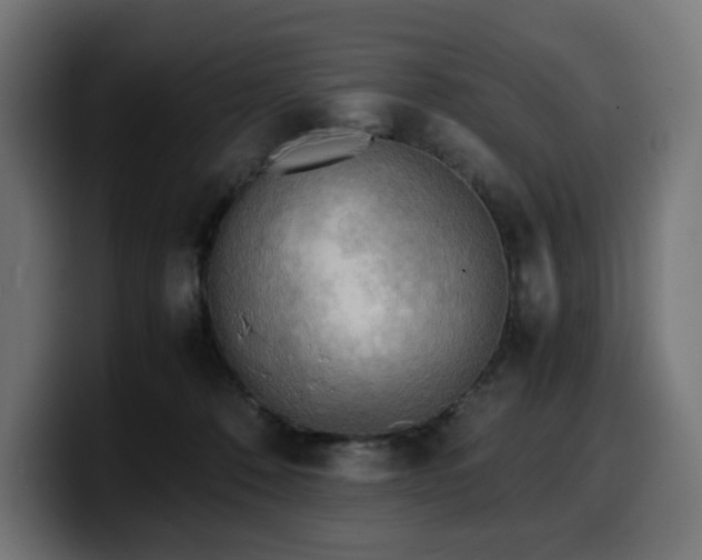 X0000100480320200806131235