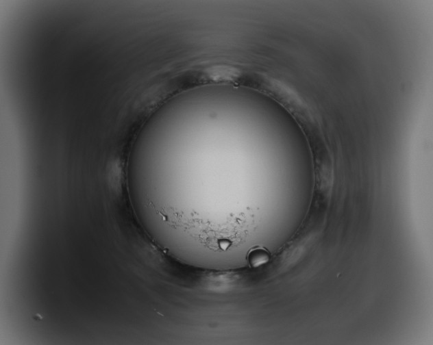 X0000100480321200806131235