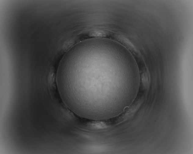 X0000100480322200806131235