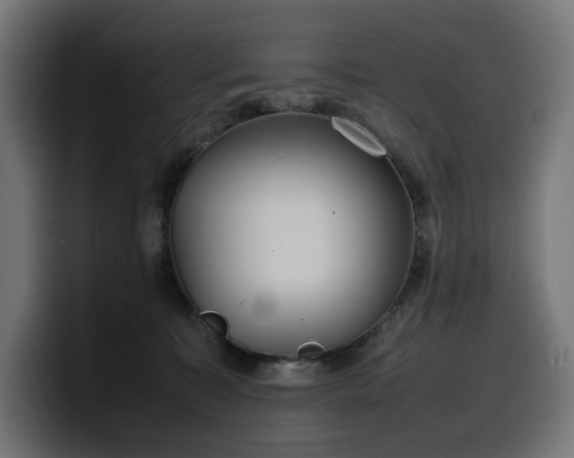 X0000100480323200806131235