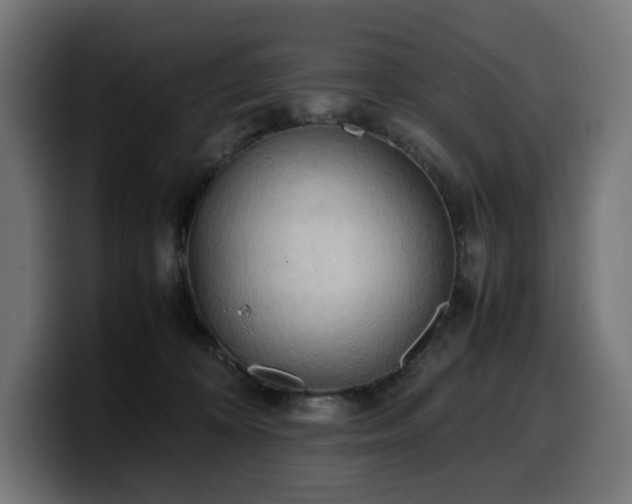 X0000100480324200806131235