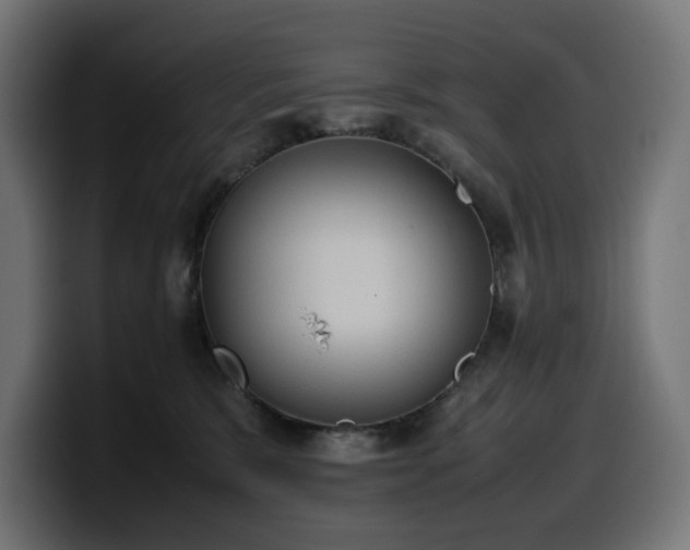 X0000100480327200806131235