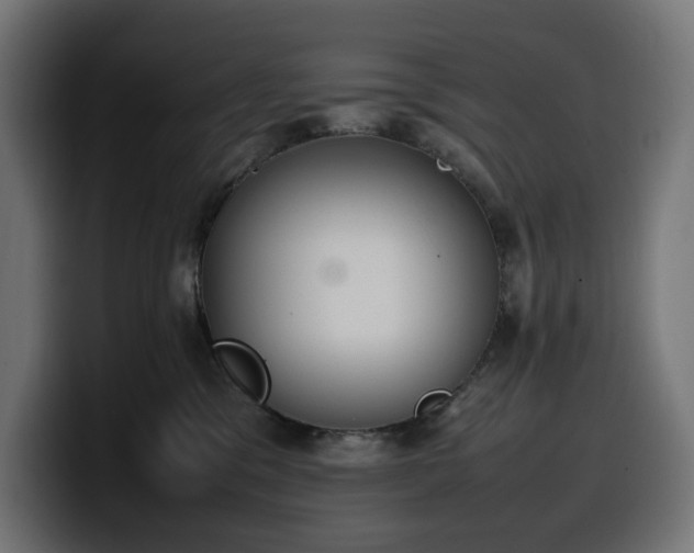 X0000100480329200806131235