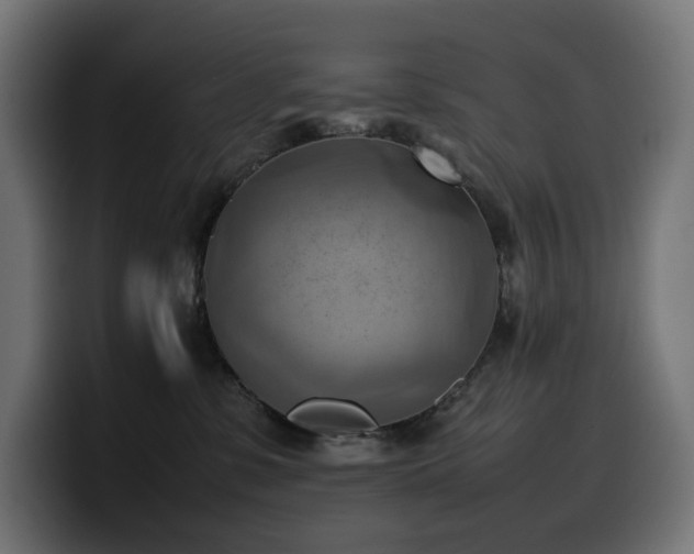 X0000100480331200806131235