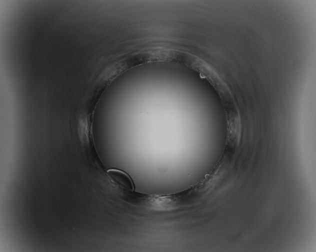 X0000100480333200806131235
