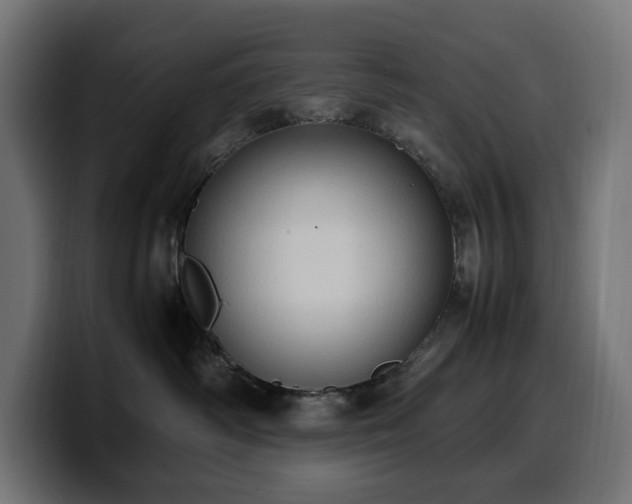 X0000100480334200806131235