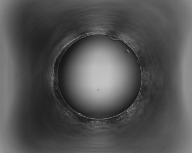 X0000100480338200806131234