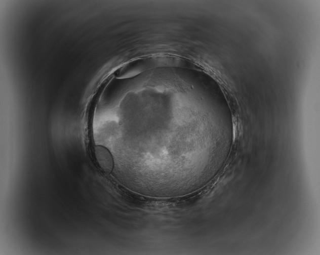X0000100480339200806131234