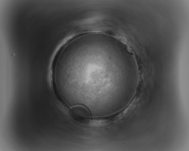 X0000100480342200806131234