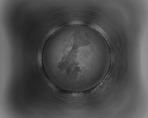X0000100480345200806131234