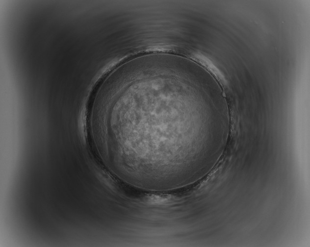 X0000100480346200806131234