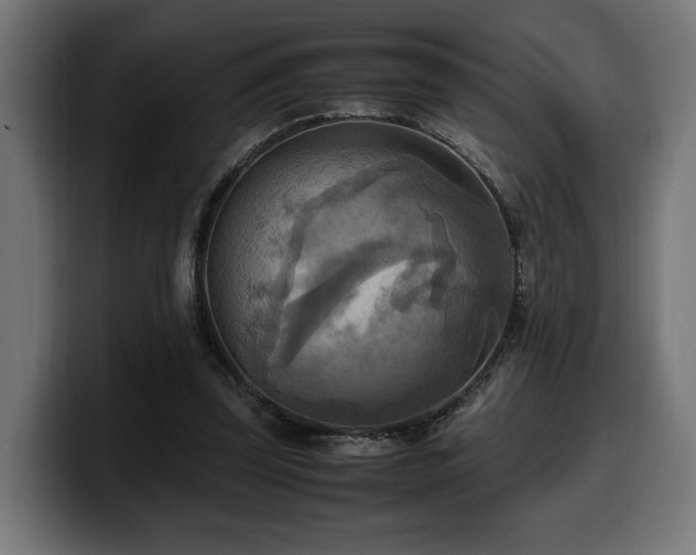X0000100480347200806131234