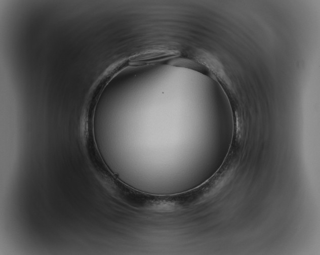 X0000100480348200806131234