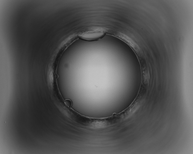X0000100480350200806131234