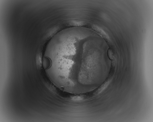 X0000100480358200806131234