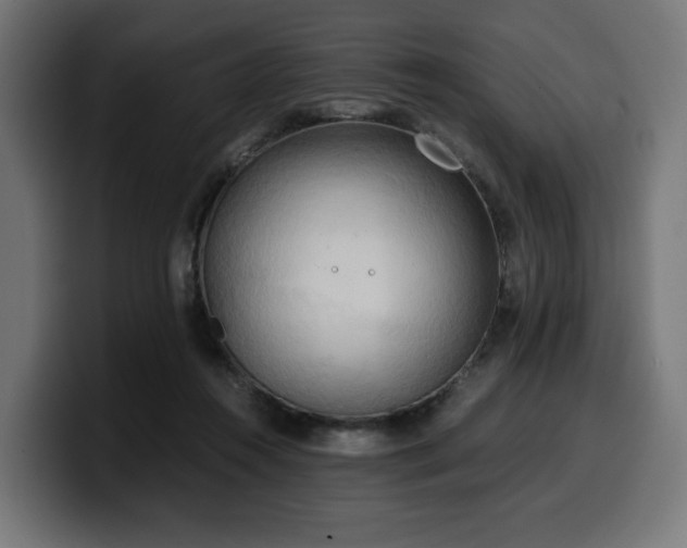 X0000100480360200806131234