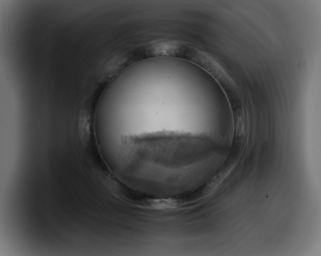 X0000100480363200806131235