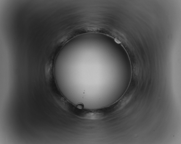 X0000100480364200806131235